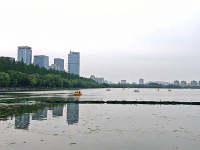 照片 6