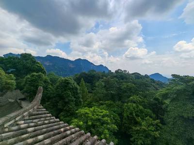 照片 2